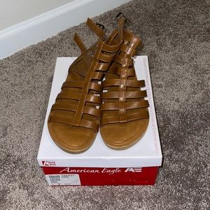 American Eagle Brown Triton